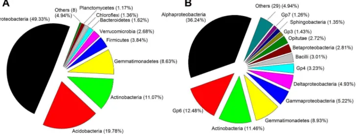 Figure 1. Composition of the bacterial community in the soil studied based on 16S rRNA gene pyrosequencing at phylum (A) and class (B) level.