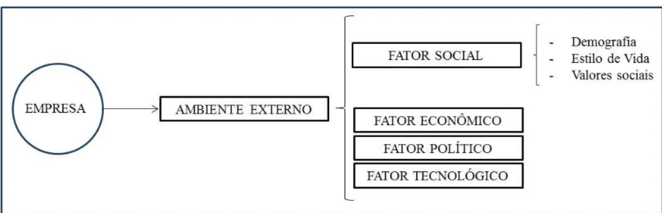Figura 1  –  Fatores ambientais propostos por Stoner e Freeman (1982) 