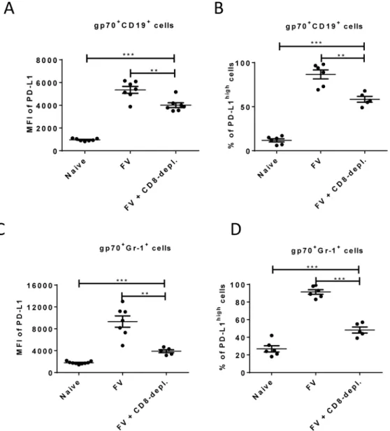 Fig 5. Expression of PD-L1 on FV infected cells from CD8 + T cells depleted mice. C57BL/6 mice were infected with FV and treated with anti-mouse CD8 antibody