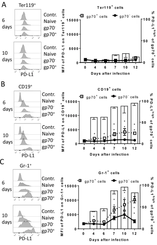 Fig 2. Expression of PD-L1 on the surface of FV infected cells. C57BL/6 mice were infected with FV and the splenocytes were isolated at different time points after infection