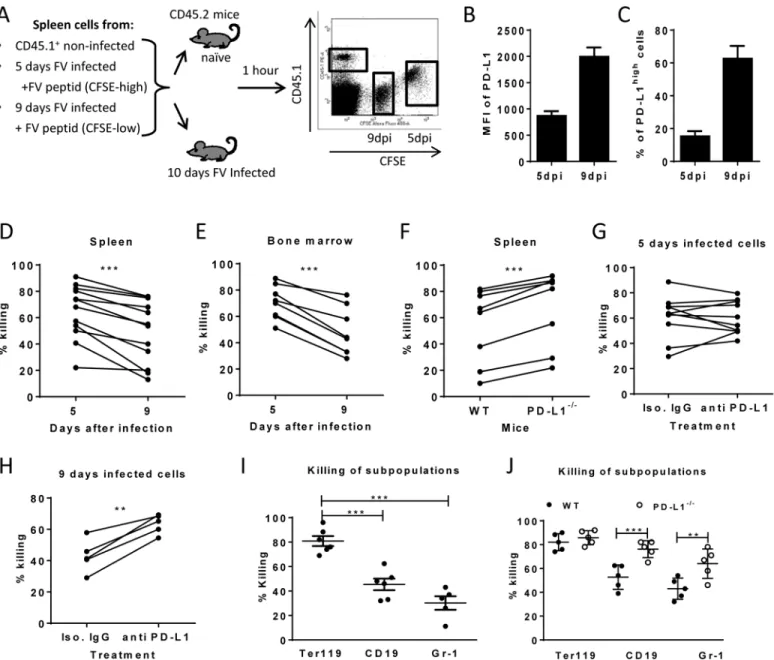 Fig 4. Cytotoxic activity of CTL against target cells expressing different levels of PD-L1