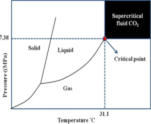 Figure 3. Schematic for production of texturized whey proteins by reactive  supercritical fluid extrusion (RSCFX)  (modified from Manoi, 2009: Manoi &amp; Rizvi, 2008).