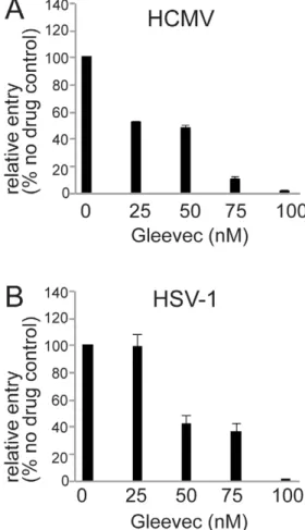 Figure 7. Gleevec inhibits both HCMV and HSV immediate early protein expression. Normal ARPE-19 cells were treated with various concentrations of Gleevec for 1 hr at 37 6 C then incubated with: