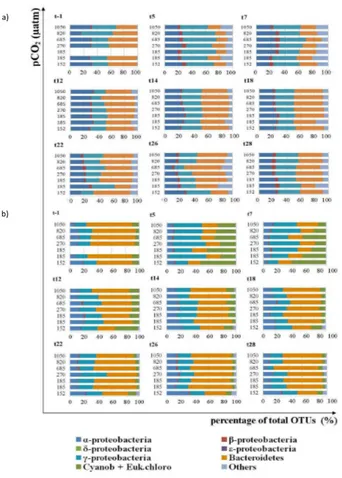 Fig. 2. Microbial community overview of the most abundant phyla in (a) the free-living size fraction (0.2–3 µm) and (b) the particle-associated size fraction (3–20 µm) during t-1, t5, t7, t12, t14, t18, t22, t26 and t28; x-axis represents percentage of tot