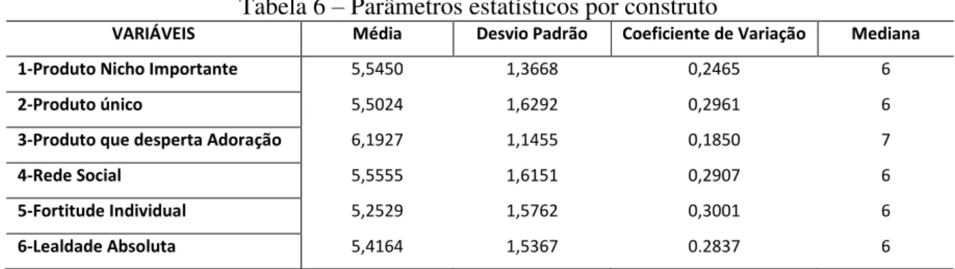 Tabela 6  –  Parâmetros estatísticos por construto