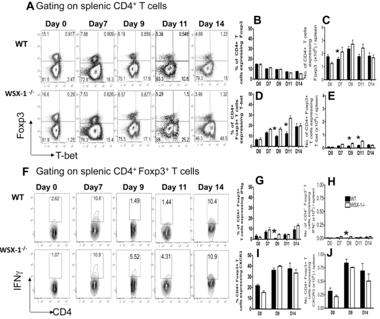 Figure 7. The Foxp3 + Treg response is unaltered in WSX-1 2/2 mice during malaria infection