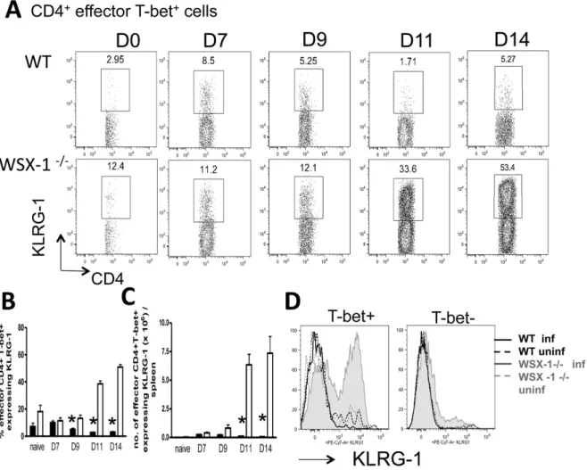 Figure 2. WSX-1 signalling inhibits the development of terminally differentiated KLRG-1 + Th1 cells during malaria infection