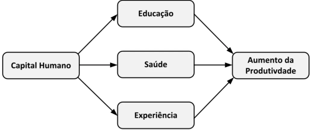 Figura 5 - Componentes do capital humano  Educação Saúde Experiência Aumento da ProdutivdadeCapital Humano Fonte: Acevedo (2007, p.21)