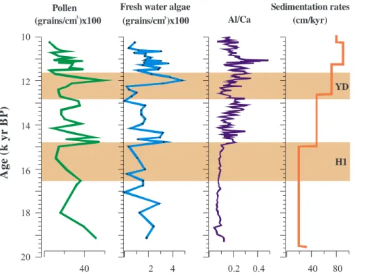 Figure 3. Downcore variations of pollen concentrations, freshwater algae concentrations, Al/Ca ratios and sedimentation rate estimates during the interval 19–10 kyr BP