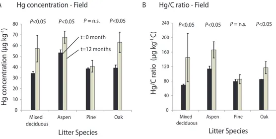 Fig. 3. (A) : Hg concentrations of field samples prior to (t = 0 month) and after (t = 12 months) one year of exposure in the field