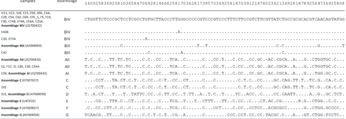 Fig 2. Polymorphism at 93 nucleotide sites (and two indels) in partial sequences of the gdh gene (431 bp) in samples of Giardia duodenalis isolated from human faeces, animals and vegetables, from southern Brazil