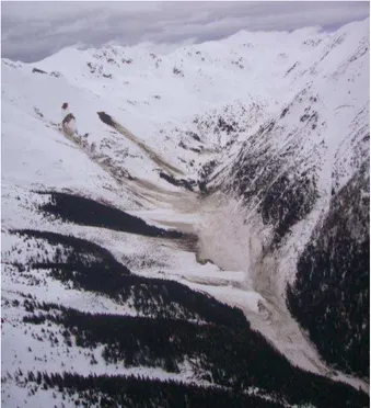 Figure 2: Avalanches in the area of the Belianske Tatry,  photograph taken on April 1, 2009