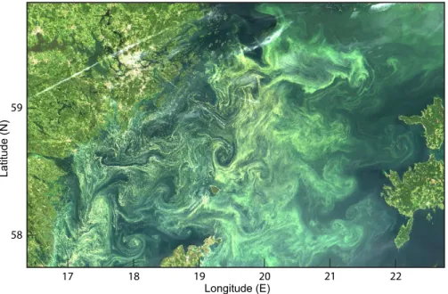Fig. 1. Cyanobacteria (primarily Nodularia spumigena) accumulations in Northern Baltic Proper on 11 July 2005 as shown on MODIS-Terra quasi true color image at 250 m resolution using bands 1 (red), 4 (green), and 3 (blue)