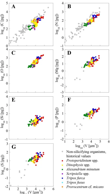 Fig 2. Log-log plots of the mass of C, N, O, Mg, Si, P and S (pg cell -1 ) vs. volume (μm 3 cell -1 ).