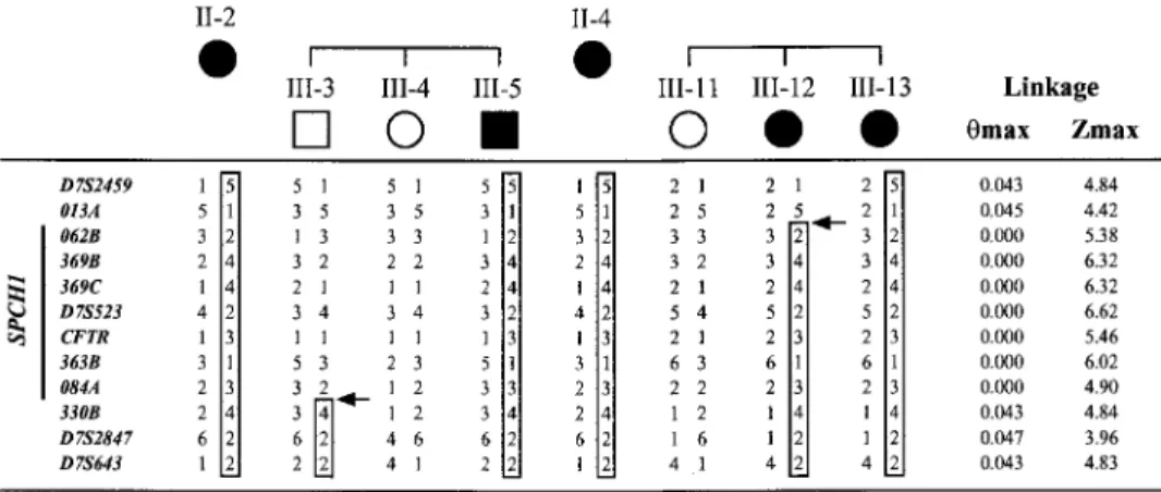 Figure 3 Haplotype analysis of new markers from the D7S2459–D7S643 region limits the SPCH1 interval between 013A and 330B