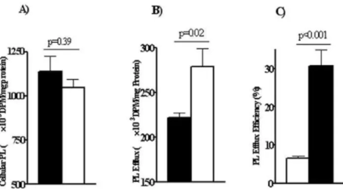 Figure 6. Total and cell surface proteins in primary macrophages from WT and CD36 2/2 mice