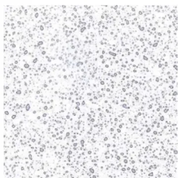 Figure 1. Demosntration image of drops on the model surface.     