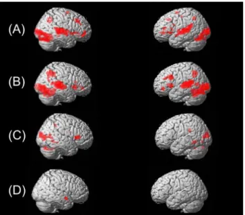 Fig. 1. Neuronal activation patterns during voice or speech-sound directed information processing.
