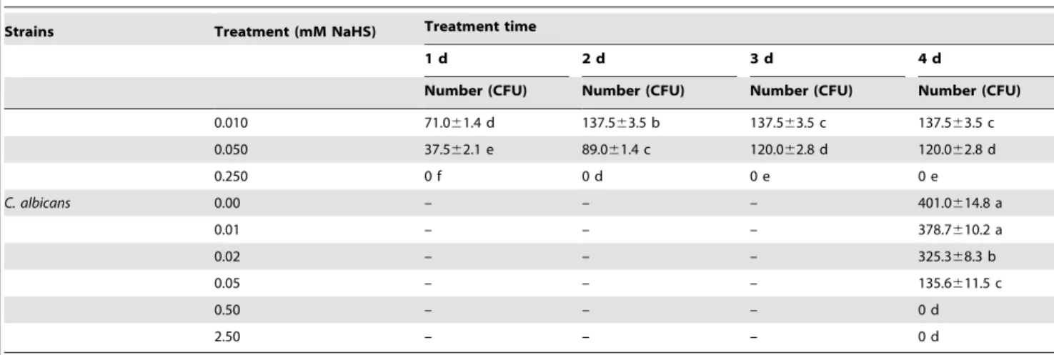 Table 3. Cont.