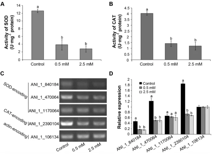 Figure 4. Effect of H 2 S fumigation on enzyme activities and gene expression of SOD and CAT in A