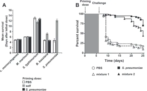 Figure 3. The Toll Pathway Is Required for the Primed Response
