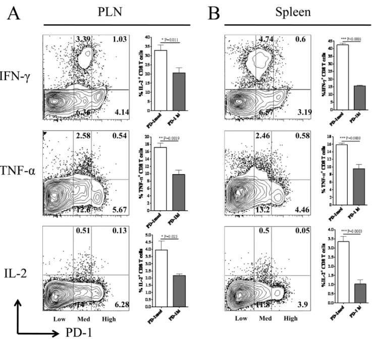 Figure 2. Cytokine producing ability of PD-1 high and PD-1 medium CD8 T cells during lytic phase of HSV-1 infection