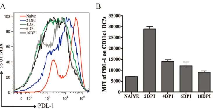 Figure 4. Kinetics of PDL-1 expression on CD11c+ dendritic cells derived from popliteal lymph node (PLN) of HSV-1 infected mice.