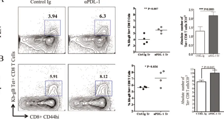 Figure 5. Anti-PDL-1 antibody treatment increases the frequency and absolute numbers of SSIEFARL specific CD8 T cell in PLN and spleen tissue of HSV-1 infected mice