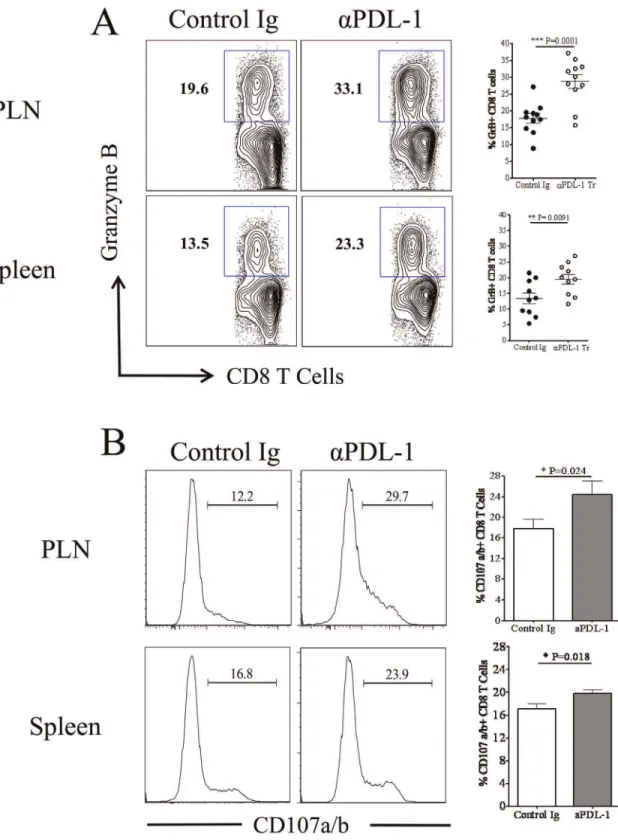 Figure 7. Anti-PDL-1 treatment increases the cytotoxic potential of HSV-1 specific effector CD8 T cell in the PLN and spleen tissue during lytic phase of HSV-1 infection