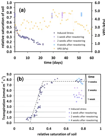 Fig. 3. Trends of net photosynthesis (a) and transpiration (b) in drought-stressed (continuous lines) and irrigated (dashed lines) during a drought stress period