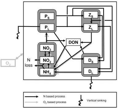 Fig. 2. Interactions between the different compartments of the BioBUS biogeochemical model.