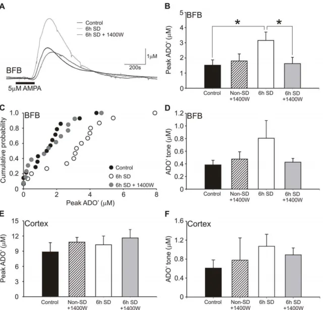 Figure 5. 6h sleep deprivation causes an iNOS-dependent increase in adenosine release in rats