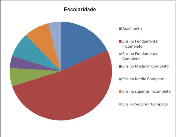 Gráfico 6: Escolaridade. 