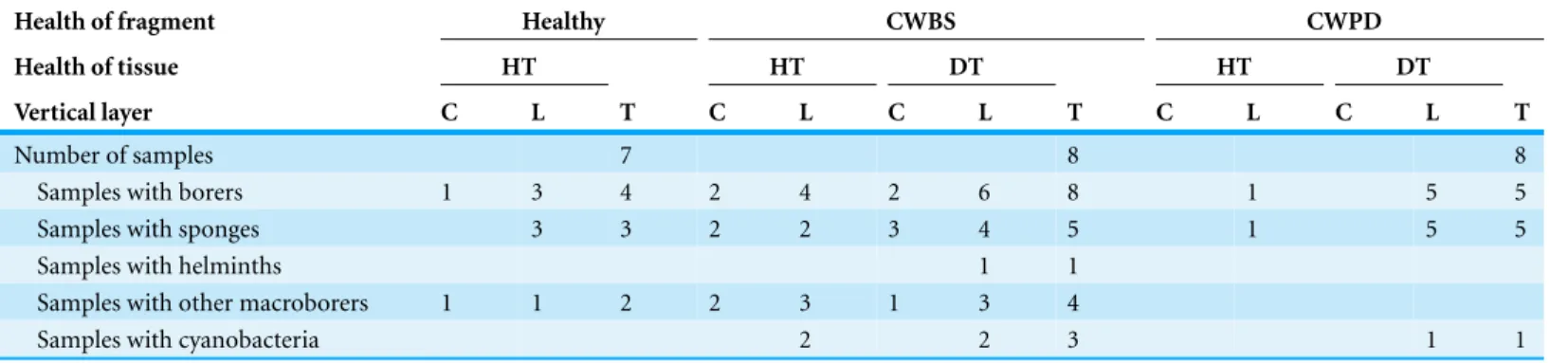 Table 2 Number of samples with boring organisms. Number of samples with boring organisms partitioned by health status of CCA fragments (i.e., healthy, CWBS vs