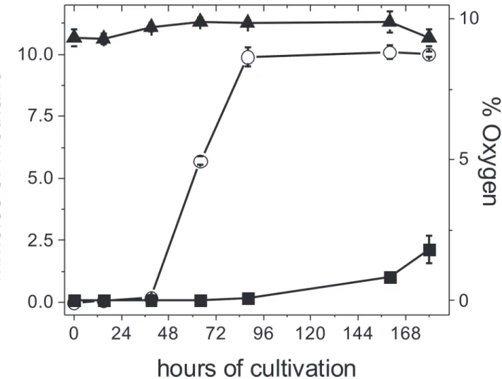 Fig 2. Effect of high O 2 concentrations on methane production in M. acetivorans. Cells were cultured in 100 mL bottles with a syringe inserted in the rubber stopper to allow for gas exchange; the bottles were then incubated At 37°C in an 8 L anaerobic jar