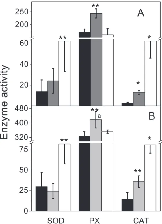 Fig 4. Antioxidant enzyme activities. Cytosolic-enriched fractions from anaerobic control (black bars), anaerobic plus 2% O 2 for 2h (grey bars) and air-adapted cells (white bars) grown on methanol (A) or acetate (B) were used to determine activities of SO