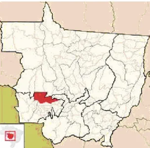 Figura II – Mapa do estado de mato grosso, com suas divisas de estados e paises. Área pintada de  vermelho, o município de Tangará da Serra – MT