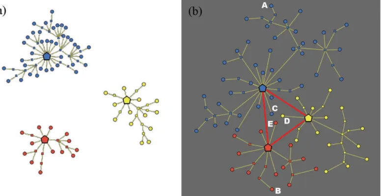 Fig 1. Graph representation of a market with three clusters. (a) Topological structure of the market