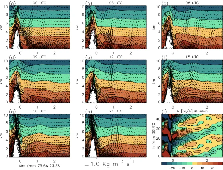 Fig. 6. (a–h) Snapshots of the mean circulation through a daily cycle along a great circle at a right angle to the South-Peruvian orographic slope and intersecting the coastline at 75.6 ◦ W, 23.3 ◦ S