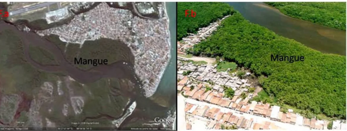Figura 4.a. Imagem de Satélite com ocupação de áreas de mangue. Fonte: software  Google Earth 5.0 beta