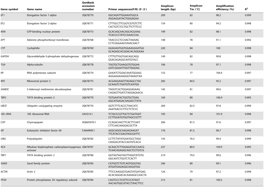 Table 2. Selected candidate reference genes, primers, and amplicon characteristics.