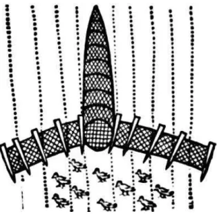 Fig. 9. Tunnel nets for taking Partridges – after Blome 1686.