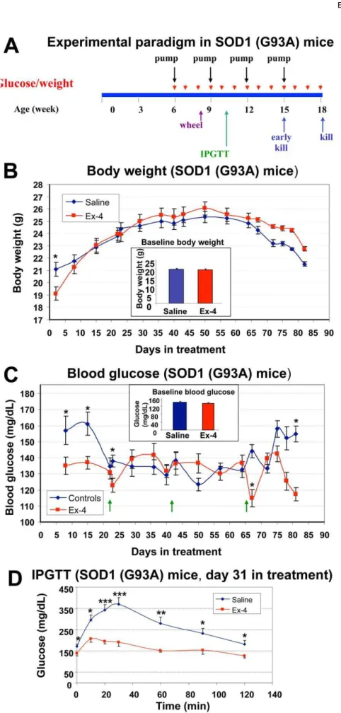 Figure 4. Design of animal study and gluco-regulatory effects of Ex-4 in SOD1 (G93A) mice