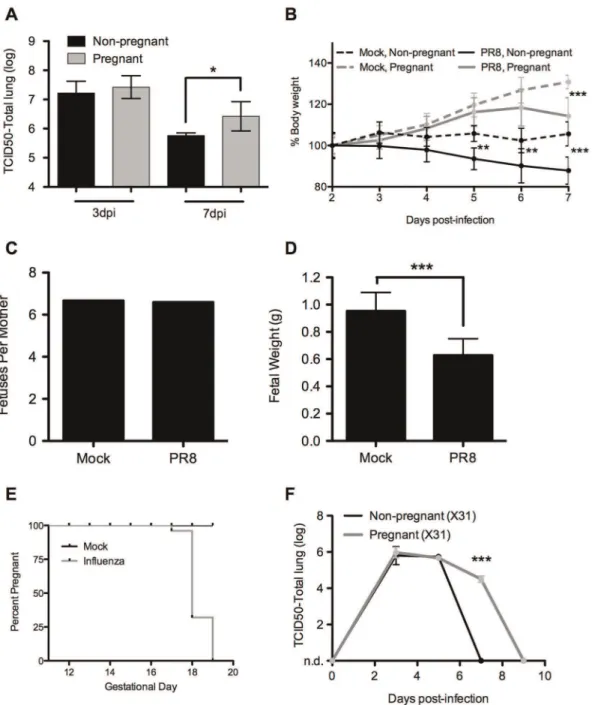 Figure 1. Altered influenza morbidity in pregnant mice. (A) Pregnant and non-pregnant C57BL/6 mice were infected with aerosolized PR8