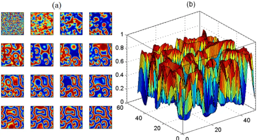 Fig. 4 Snapshots of the dynamics of spatial patterns of the metapopulation (a) and the spatial structure of resource content (b)