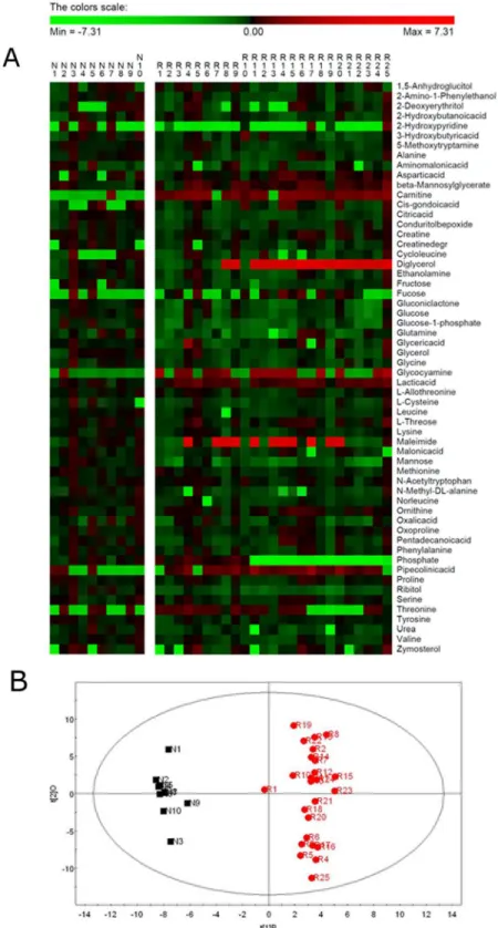 Fig 1. Metabolic patterns in RA patients and normal subjects. (A) The heat map shows the standard score for each metabolite of each RA patient and each normal subject