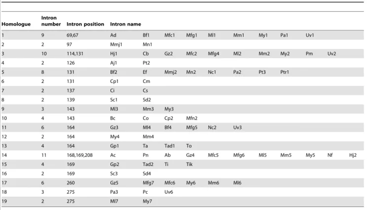 Table 3. Identification of homologues among fungal Cyt b gene introns 1 .