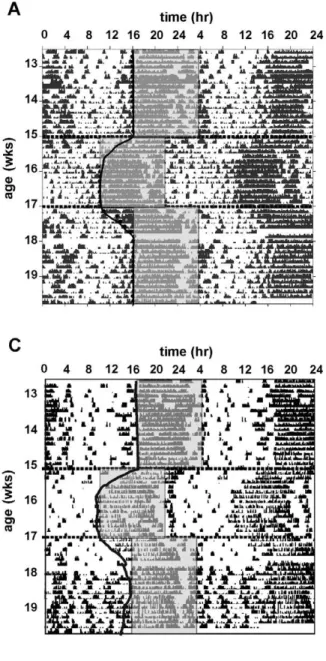 Figure 5. Representative double plotted actograms from mice undergoing phase-advance and phase-delay