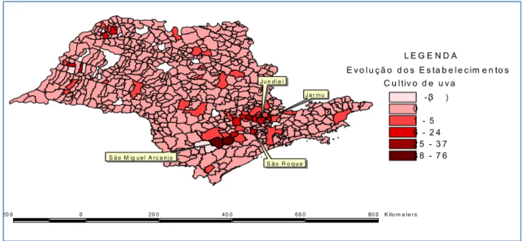 Figura 4 - Evolução dos estabelecimentos voltados ao cultivo de uva no estado de São Paulo no período 1994 – 2007  (valores absolutos) 