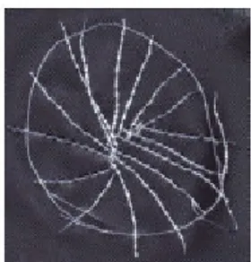 Figura 2: Desenho do Sol elaborada por um cego congênito de 54 anos (VALENTE, 2008, p